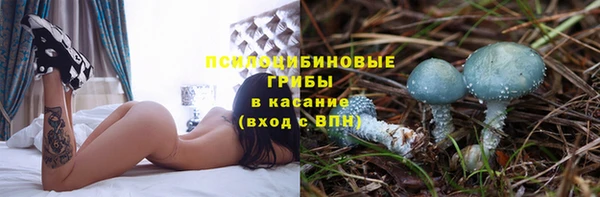 прущая мука Богданович